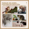 Krabpaal 72 cm kattentoren met pluche ballen, sisal stammen, platform, krabplank, meerlaagse kattenkrabpaal, klimboom, voor middelgrote katten, crèmewit 7