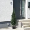 Kunstmatige cypress groot 120 cm kunstplant, kunstmatige planten in pot, uv bestendige kunstboom cypress zoals echt decor voor woonkamer slaapkamer kantoor balkon 10