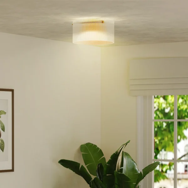 Plafondlamp, plafondverlichting met e27 fitting, ronde plafondverlichting voor slaapkamer woonkamer Ø32 x 16,5 cm, excl. gloeilamp transparant 10