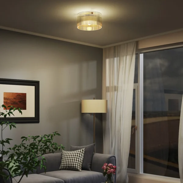 Plafondlamp, plafondverlichting met e27 fitting, ronde plafondverlichting voor slaapkamer woonkamer Ø32 x 16,5 cm, excl. gloeilamp transparant 8