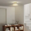 Plafondlamp, plafondverlichting met e27 fitting, ronde plafondverlichting voor slaapkamer woonkamer Ø32 x 16,5 cm, excl. gloeilamp transparant 9