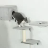 Pwahut klimmuur kat 7 delig katten klimmuur set met kattenhuis, platform, krabpaal met hangende bal, pluche wandkrabpaal, kattenmeubels voor katten tot 5 kg, grijs 10