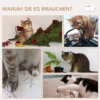 Pwahut klimmuur kat 7 delig katten klimmuur set met kattenhuis, platform, krabpaal met hangende bal, pluche wandkrabpaal, kattenmeubels voor katten tot 5 kg, grijs 8