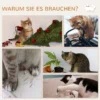 Pwahut klimmuur kat 7 delig katten klimmuur set met sisalpaal ladder, platform, krabpaal met krabplank, hol, kattenmeubels voor katten tot 5 kg, grijs+eik 8