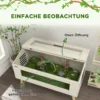 Terrarium voor reptielen, 140l reptiel voederbak met gehard glazen vensters, deksel, poten, reptielenkweekbak voor amfibieën, spin, eik, 100 x 50 x 60 cm 6