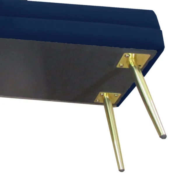 Zitbank, gestoffeerde bank met opbergruimte, fluweelachtige uitstraling, bedbank met stalen poten, schoenenbank, opbergbank voor woonkamer, slaapkamer, blauw, 79,5 x 37,5 x 43 cm 10