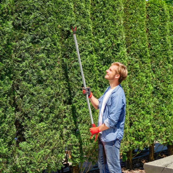 1,2m boomknipper met vergrendelingsmechanisme, takknippers voor snijden en vasthouden, tuinknipper met aluminium handvat, lange steel tuinknipper voor takken, voor het snijden van takken en het plukken van fruit 2