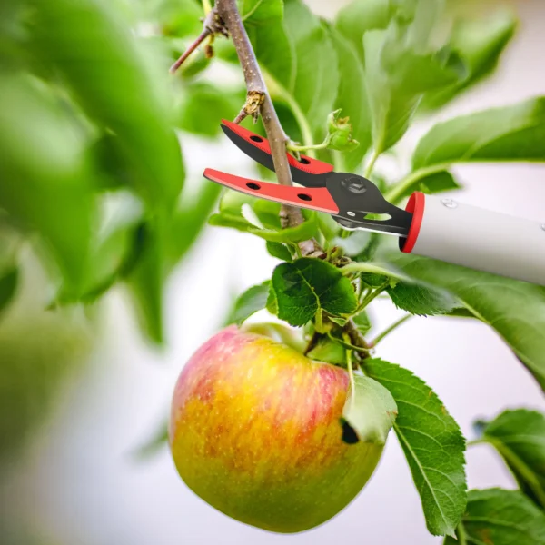1,2m boomknipper met vergrendelingsmechanisme, takknippers voor snijden en vasthouden, tuinknipper met aluminium handvat, lange steel tuinknipper voor takken, voor het snijden van takken en het plukken van fruit 9