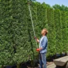 1,8m boomknipper met vergrendelingsmechanisme, takkenscharen voor snijden en vasthouden, tuinknipper met aluminium handvat, langstelige tuinschaar voor takken, voor het snijden van takken en het plukken van fruit 2