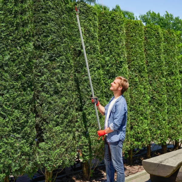 1,8m boomknipper met vergrendelingsmechanisme, takkenscharen voor snijden en vasthouden, tuinknipper met aluminium handvat, langstelige tuinschaar voor takken, voor het snijden van takken en het plukken van fruit 2
