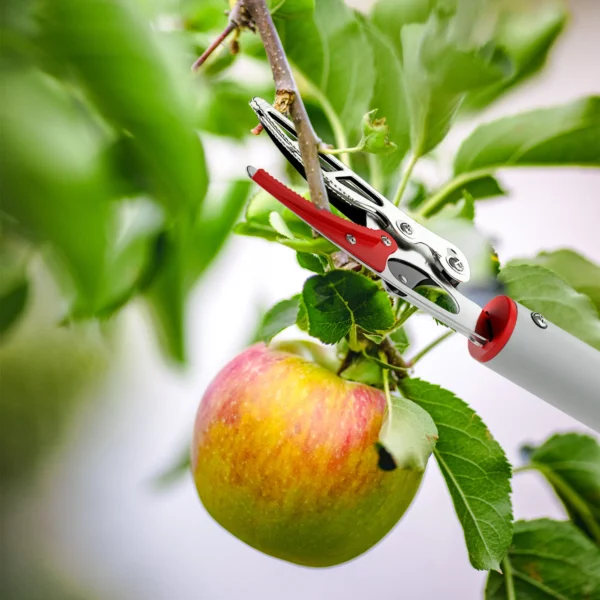 1,8m boomknipper met vergrendelingsmechanisme, takkenscharen voor snijden en vasthouden, tuinknipper met aluminium handvat, langstelige tuinschaar voor takken, voor het snijden van takken en het plukken van fruit 9