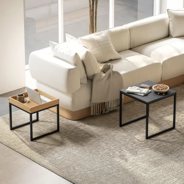 2 delige set salontafel, vierkante bijzettafel, koffietafel met stalen frame, sofatafel in modern design, voor woonkamer, tot 30 kg belastbaar, zwart+eik 2