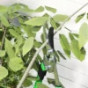 Heggenschaar set 2 delig tuinschaar meslengte 90 cm takkenschaar met anti aanbaklaag metalen messen, uitschuifbare handgreep, 78,5 cm heggenschaar voor het snoeien van heggen en takken 10