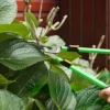 Heggenschaar set 2 delig tuinschaar meslengte 90 cm takkenschaar met anti aanbaklaag metalen messen, uitschuifbare handgreep, 78,5 cm heggenschaar voor het snoeien van heggen en takken 8