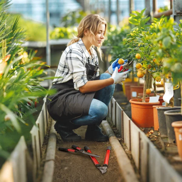Heggenschaar set 3 delig tuinschaar takkenschaar met anti aanbaklaag stalen messen, antislip handvat, voor het snoeien van heggen en takken voor tuinwerkzaamheden 2