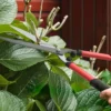 Heggenschaar set 3 delig tuinschaar takkenschaar met anti aanbaklaag stalen messen, antislip handvat, voor het snoeien van heggen en takken voor tuinwerkzaamheden 9
