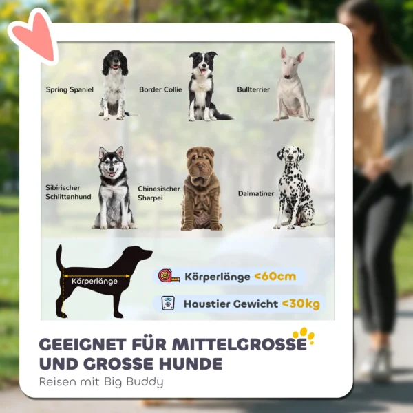 Hondenwagen hondenbuggy met netvensters, opvouwbare kattenwagen met veiligheidslijn, grote rubberen wielen voor middelgrote, grote honden tot 30 kg, oxford, rood 5