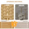 4 delige kamerscherm, opvouwbare privacy scherm, privacy wand voor woonkamer, slaapkamer, thuiskantoor, natuur 5