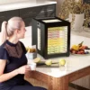 Droogautomaat, 850 w, temperatuurregelaar 40 70°c, 48 uur timer, 12 inlegvellen roestvrij staal zwart 2