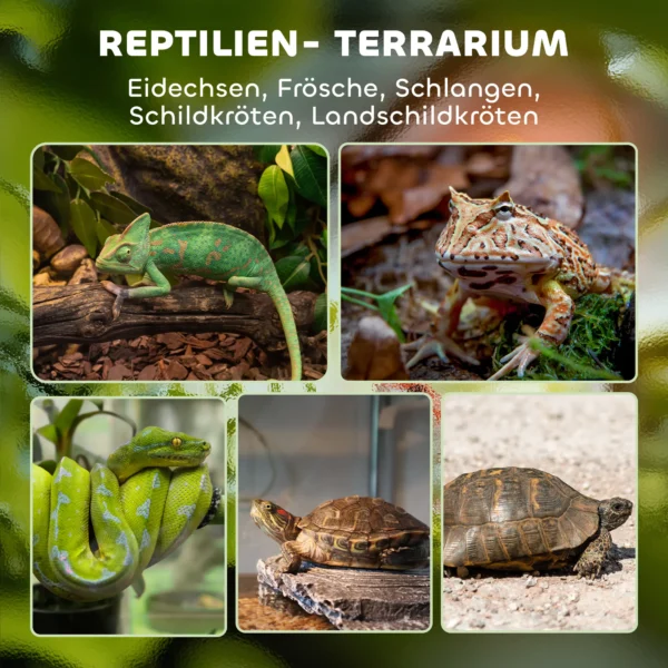 Glazen terrarium voor reptielen, verhoogde & waterdichte bodem, knoopschakelaar 5