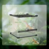 Glazen terrarium voor reptielen, verhoogde & waterdichte bodem, knoopslot 4