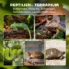 Glazen terrarium voor reptielen, verhoogde & waterdichte bodem, knoopslot 5