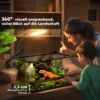 Glazen terrarium voor reptielen, verhoogde & waterdichte bodem, knoopslot 7