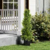 Kunstmatige cypress 90cm kunstplant in spiraalvorm, plastic kunstmatige planten in pot, moderne decoratie 10