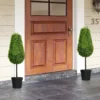 Set van 2 kunstmatige buxus 90cm kunstplant in traanvorm, plastic kunstmatige planten in pot moderne decoratie 8