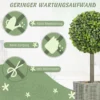 Set van 2 kunstplanten, uv bestendige kunstbomen in pot, geschikt voor binnen en buiten, kunststof, cement, groen 7