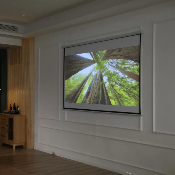Beamer scherm 203 x 152 cm 100 inch 4:3/ 16:9 handmatige projectiescherm voor thuisbioscoop 2