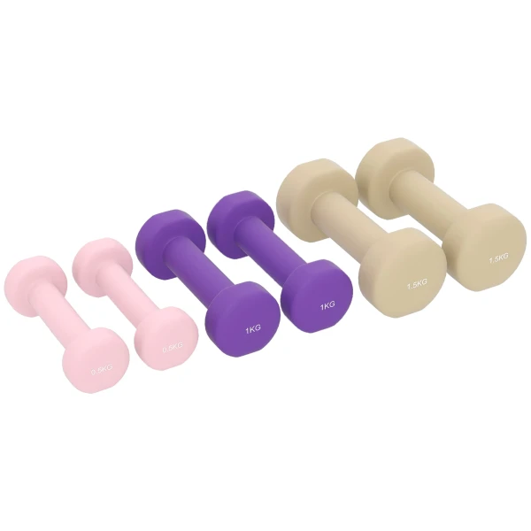 Halterset 6 delige set halters met koffer, gewichten, 0,5kg, 1kg, 1,5kg verstelbaar voor thuis, sportschool 1