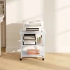 Printer tafel met rol, printer standaard met 3 niveau, printer houder staal, 50 x 50 x 52,5 cm 10