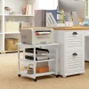 Printer tafel met rol, printer standaard met 3 niveau, printer houder staal, 50 x 50 x 52,5 cm 2