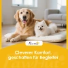 Hondentrap 3 treden 36,5 cm hoog huisdiertrap voor kleine honden inklapbaar voor bed, sofa, bank auto crèmewit 10