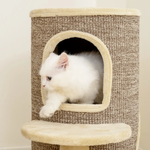Kattenvat, krabpaal met 2 niveaus, springplatform, uitzichtpunt, krabmat, om te rusten en spelen, beige 9