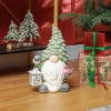 Kerst kabouter met lantaarn, led, op batterijen, weerbestendig, 28x21x42 cm 8