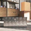 Gereedschapskist opslagkist van aluminium met slot en sleutels 50 x 15,5 x 20,5 cm 10