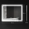 Badkamerspiegel LED Bluetooth 80 X 100 Cm Touch Schakelaar Verstelbare Verlichting 3 Kleuren Anti Mist Geheugen Zilver