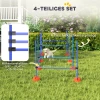 4 delige Hond Agility set Met 4 Hindernissen En Draagtas Voor Sprongtraining, Blauw
