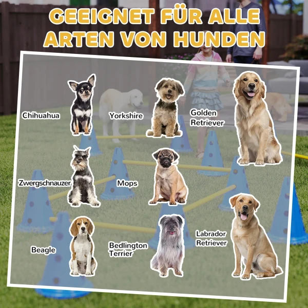 Agility Set Honden 6 delig Agility uitrusting Voor Hondentraining Steekhindernisset Met 12 Kegels 6 Hindernissen Draagtas