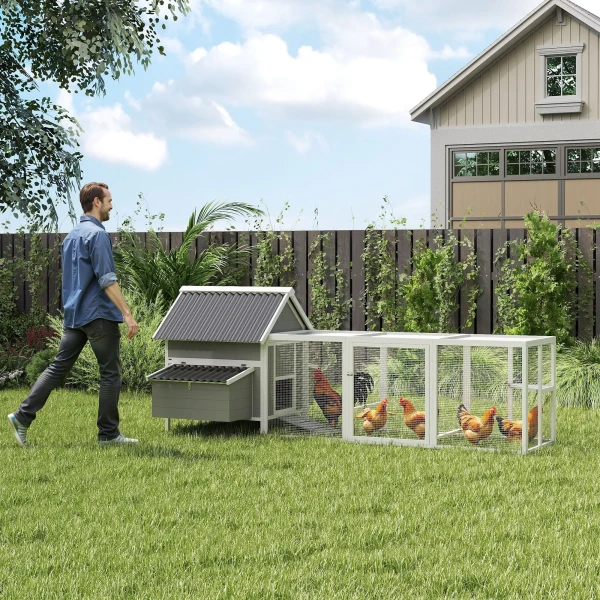Grote Kippenhok Voor 7 10 Kippen, Zitstokken, Schommel, Venster, Nestkasten, Gaas, Grijs