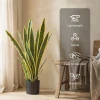 Grote Kunstmatige Slangenplant 77 Cm Kunstplant In Pot Voor Woonkamer Cadeau