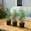 Hoogbed Met Klimrek 83,7 Liter Zakken 3 delige Set Driehoekige Plantenbakken Tomatensteun 35 X 35 X 120 Cm