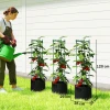 Hoogbed Met Klimrek 83,7 Liter Zakken 3 delige Set Driehoekige Plantenbakken Tomatensteun 35 X 35 X 120 Cm