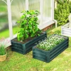 Hoogbed Metaal 2 delig Set, Open Bodem, Voor Tuin Balkon, 110x50x30cm, Groen