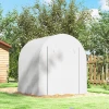 Kas, Draagbaar Plantenhuis Met Stalen Frame En Kunststof Afdekking, Wit
