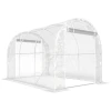 Polytunnel Kas, Beloopbare Kas Met Gegalvaniseerd Stalen Frame En UV bestendige PE hoes, Transparant