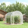 Polytunnel Kas, Beloopbare Kas Met Gegalvaniseerd Stalen Frame En UV bestendige PE hoes, Transparant