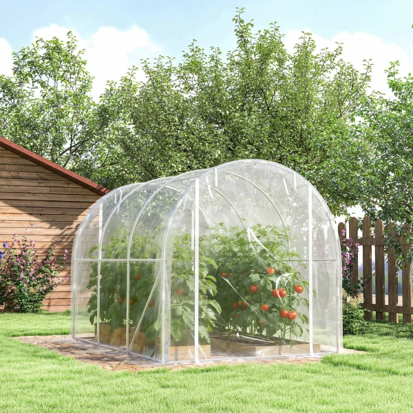 Polytunnel Kas, Beloopbare Kas Met Gegalvaniseerd Stalen Frame En UV bestendige PE hoes, Transparant